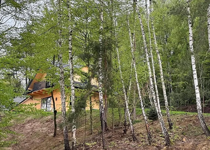 Drewniany Domek Nad Dolina Dunajca